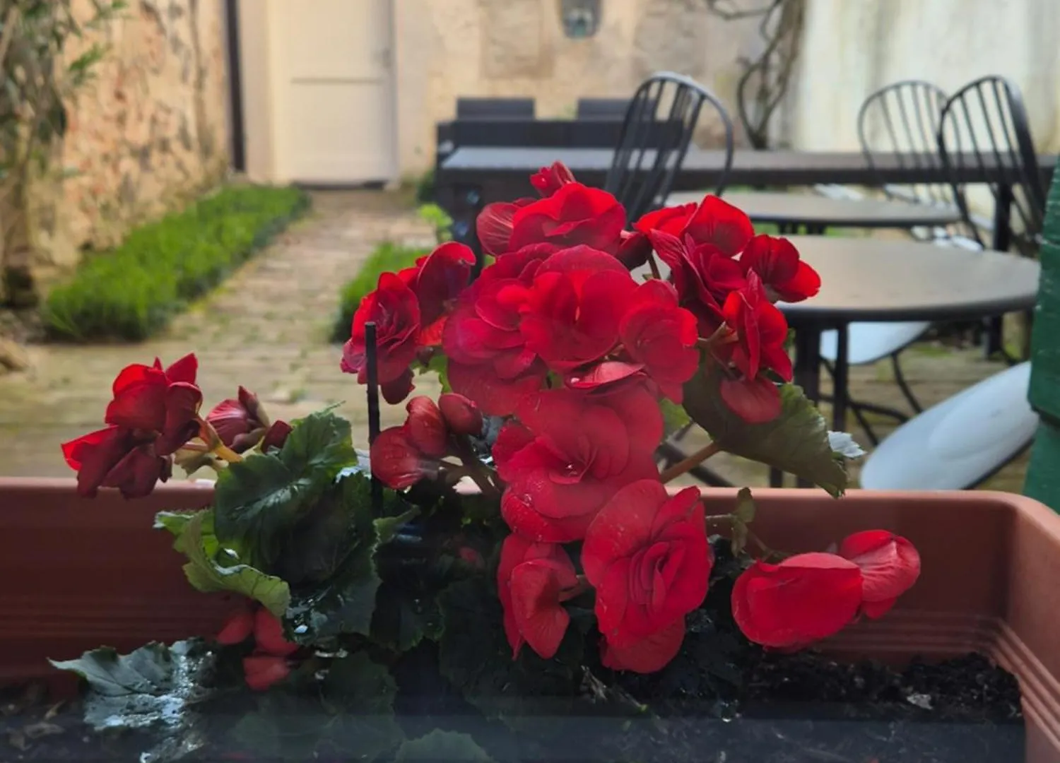 Bed and Breakfast 19 Borgo Cavour Тревизо